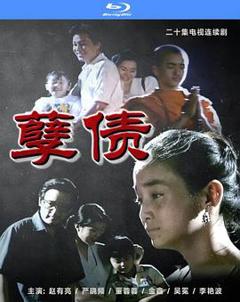免费在线观看完整版国产剧《孽债》