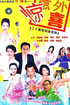 免费在线观看完整版国产剧《将装修进行到底》