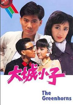 免费在线观看完整版香港剧《大城小子粤语》