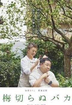 免费在线观看《不砍梅树的傻瓜》