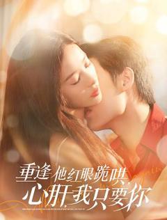 免费在线观看《重逢他红眼跪哄，心肝，我只要你》