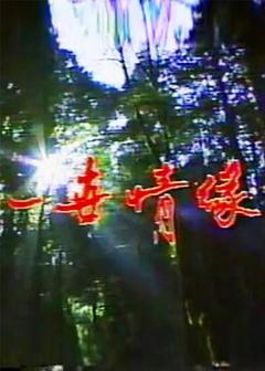 免费在线观看完整版台湾剧《一世情缘》