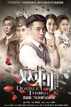 免费在线观看完整版国产剧《双刺DVD版》
