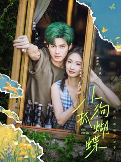 免费在线观看《小狗抓蝴蝶》