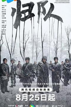 免费在线观看完整版国产剧《归队》