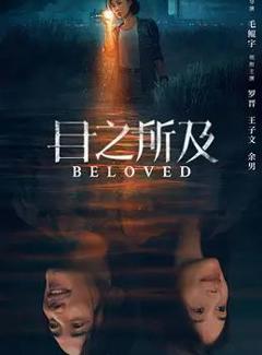 免费在线观看完整版国产剧《目之所及》
