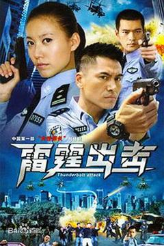 免费在线观看完整版国产剧《要案组雷霆出击》