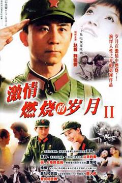 免费在线观看完整版国产剧《激情燃烧的岁月2》