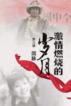 免费在线观看完整版国产剧《激情燃烧的岁月3》