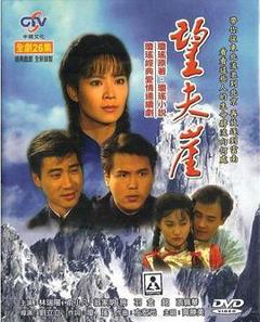 免费在线观看完整版台湾剧《望夫崖》