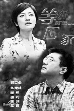免费在线观看完整版国产剧《我在等你回家》