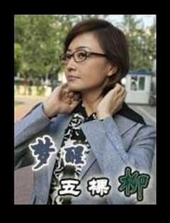 免费在线观看完整版国产剧《梦醒五棵柳》