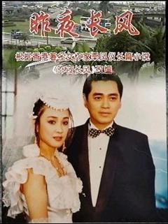 免费在线观看完整版国产剧《昨夜长风》