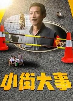 免费在线观看完整版国产剧《小街大事》