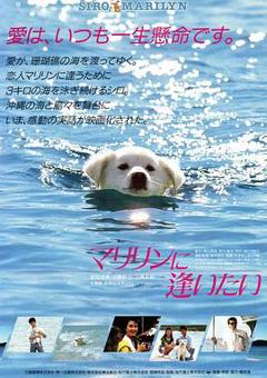 免费在线观看《想见玛丽琳》