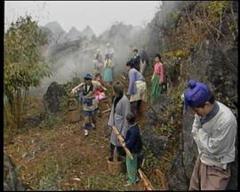 免费在线观看完整版国产剧《鱼公主红鲤公主》