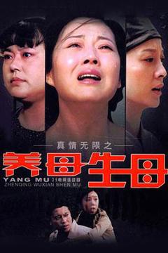 免费在线观看完整版国产剧《真情无限之养母生母》
