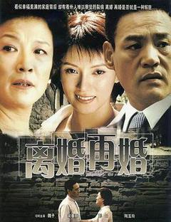 免费在线观看完整版国产剧《离婚再婚》