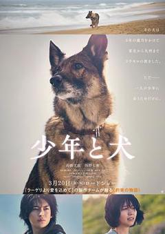 免费在线观看《少年与犬》