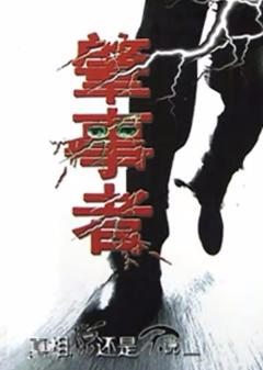 免费在线观看完整版国产剧《肇事者2004》