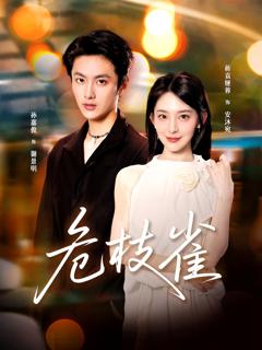 免费在线观看《危枝雀》