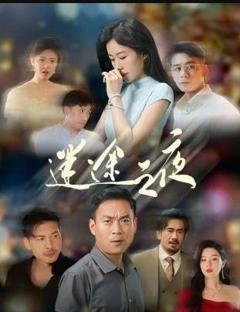 免费在线观看完整版国产剧《迷途之夜》