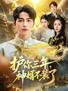 免费在线观看《护你三年，神婿不装了》
