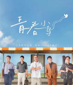 免费在线观看完整版海外剧《青春小鸟》