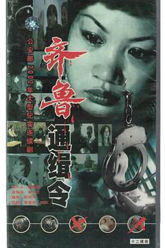 免费在线观看完整版国产剧《齐鲁通缉令》