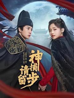 免费在线观看完整版国产剧《神捕请留步》