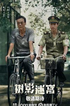 免费在线观看完整版国产剧《树影迷宫》