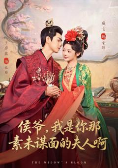 免费在线观看《侯爷，我是你那素未谋面的夫人啊》