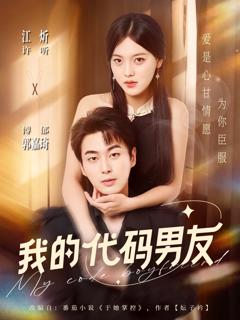 免费在线观看《我的代码男友》