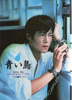 免费在线观看完整版日本剧《青鸟1997》