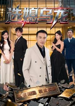 免费在线观看完整版短剧《选媳乌龙》