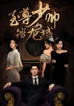 免费在线观看《至尊少帅踏龙城》