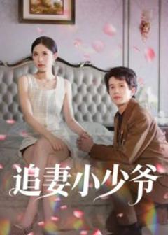 免费在线观看《追妻小少爷》