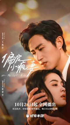 免费在线观看《偏宠小疯妻》