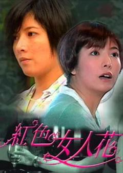 免费在线观看完整版台湾剧《红色女人花》