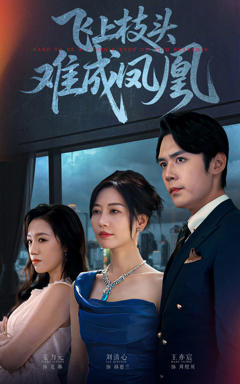 免费在线观看《飞上枝头难成凤凰》