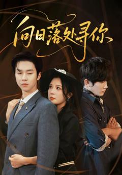 免费在线观看完整版短剧《向日落处寻你》