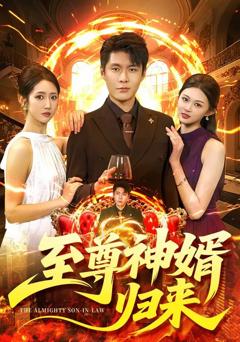 免费在线观看《至尊神婿归来》