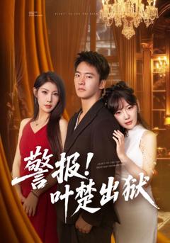 免费在线观看《警报!叶楚出狱》