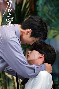 免费在线观看《刀口之蜜》