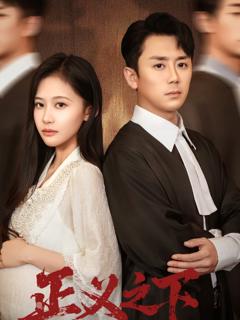 免费在线观看《正义之下》