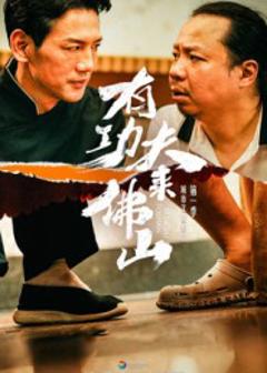 免费在线观看《有功夫来佛山》