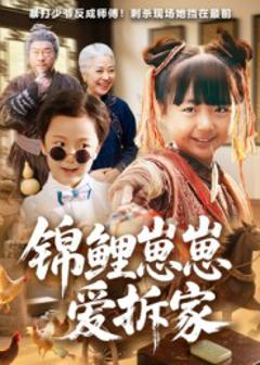 免费在线观看《锦鲤崽崽爱拆家》