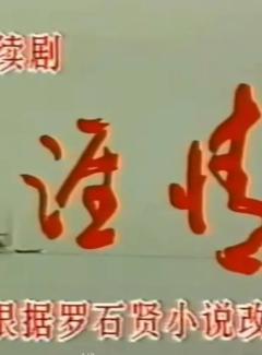 免费在线观看完整版国产剧《天涯情》