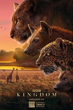 免费在线观看《动物王国2025国语》