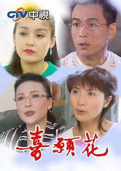 免费在线观看完整版台湾剧《喜愿花》